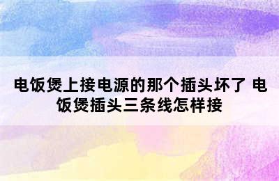 电饭煲上接电源的那个插头坏了 电饭煲插头三条线怎样接